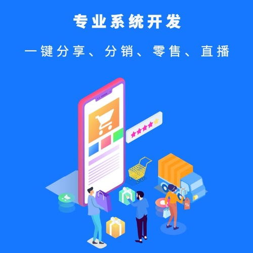 新零售分销软件 二级分销新零售系统开发